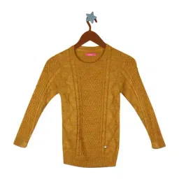 Monte Carlo Kids Mango Regular Fit Sweater-image-43