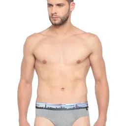 Van Heusen Grey Regular Fit Briefs-picture-23