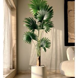 Mason Home Artificial Funa Philodendron Plant - 6 Feet-12