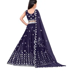 F Plus Fashion Multi Net Lehenga Choli image 2