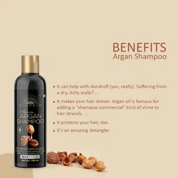 Desi Crew Set Of 4 Moroccan Argan Shampoo For Healty Hair - 100 ml Each image 2