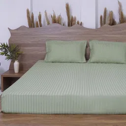 BELIHODE Green Striped 300 TC King Bedsheet with 2 Pillow Covers-image-60