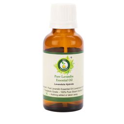 R V Essential Pure Lavandin Essential Oil - 30 ml-image-20