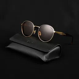 Irayz Unisex Brown Lens & Gold-Toned Round Sunglasses with-picture-17