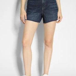 American Eagle Outfitters Blue Cotton Regular Fit Shorts-picture-30