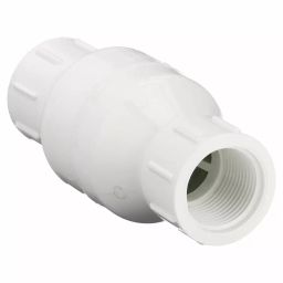 Dayton 1 inch 25 mm PVC Spring Check Valve, 4RG66-4