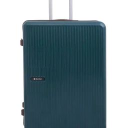 Baomi EDGE Dark Green Striped Large Hard Sided Checked Luggage-image-0