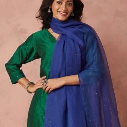 fabindia Blue Cotton Silk Dupatta-picture-16