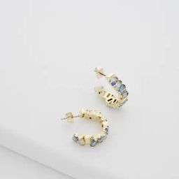 Ted Baker Crystal Cluster Hoop Earrings-28