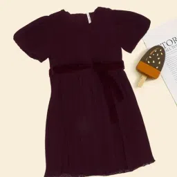 Pantaloons Junior Girls Maroon Dress-picture-42