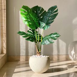 Mason Home Artificial Paradise Monstera Plant - 3 Feet-26
