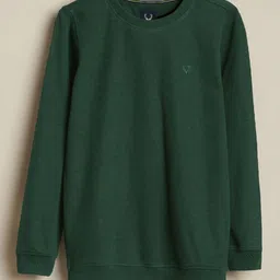 Allen Solly Junior Boys Textured Round Neck Pullover-picture-13
