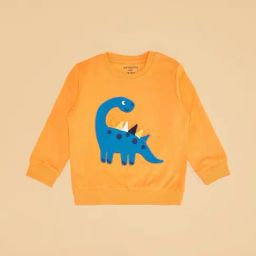 Pantaloons Baby Orange Sweatshirt-image-34