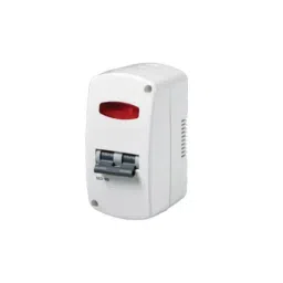 HOSPER 32 A Double Pole Polycarbonate Switch Surface Mount, H313-45