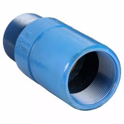 Dayton 3 inch 75 mm Ductile Iron Spring Check Valve, 4RK70-4