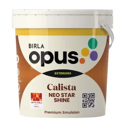 Birla Opus Calista Neo Star Shine 20 L White Emulsion Paint for Exterior Walls, 932003 (Bucket of 20 L)-image-24