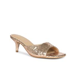 Saint G Women PU Woven Design Sandals-picture-5