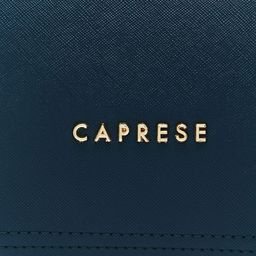 Caprese Structured Handheld Bag image 4