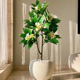Mason Home Artificial Frangipani Bloom Plant - 4 Feet-image-47