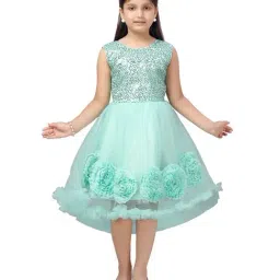 Aarika Kids Blue Embellished Dress-image-9
