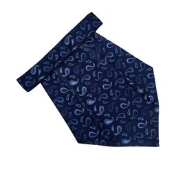 VOICI Men Woven Design Cravat-picture-23
