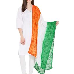 Dupatta Bazaar Multicolored Dupatta-67