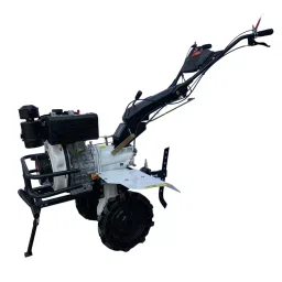 Really 4 Stroke 5.5 kW Diesel Engine, Rapl-Rh-785de-image-33