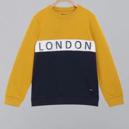 3PIN Boys Multi Cotton Regular Fit Color Block Sweatshirt-picture-6