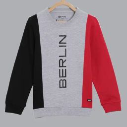 3PIN Boys Multi Cotton Regular Fit Color Block Sweatshirt-picture-20