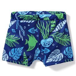 Babyhug Water Repellant Swimming Trunk With Sea Life Theme - Navy Blue-image-24