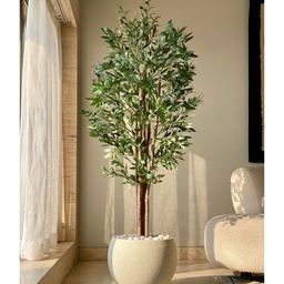 Mason Home Artificial Tropical Olive Plant - 6 Feet-picture-47