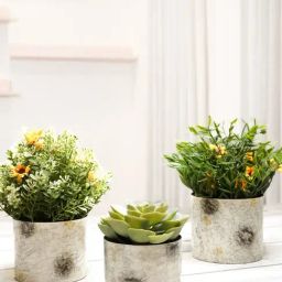 BEHOMA Home Collection Off-White Metal Tabletop Planter - Set of 3-42