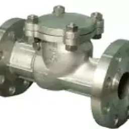 Valson 4 Inch,100 mm Stainless Steel 316 Swing Type Check Valve-image-14