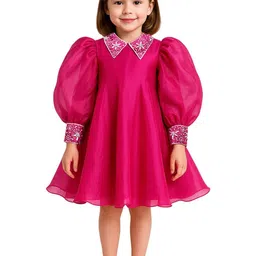 Alyaansh Couture Girls Puff Sleeve A-Line Dress-picture-6