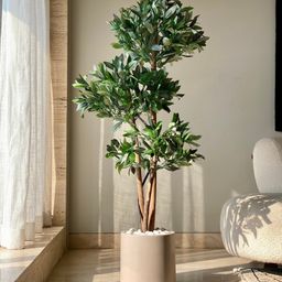 Mason Home Artificial Bay Topiary Plant - 5 Feet-picture-45