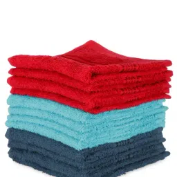 Bianca D'ross Multicolor Cotton 380 GSM Face Cloths - Set of 12-41