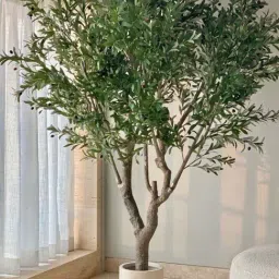 Mason Home Green Pvc Artificial Olive Allure Plant - 8 Feet-picture-34