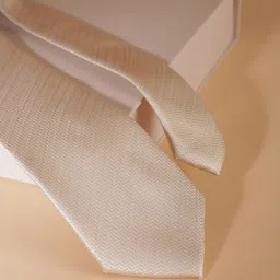 Allen Solly Men Woven Design Broad Tie-image-40