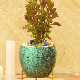 SONE KEY CHIDIYA Handmade Pitalnagi Meenakari Pots And Planter-image-30