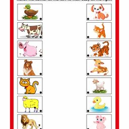 Actonn Re-Writable EVS Workbook - English image 2