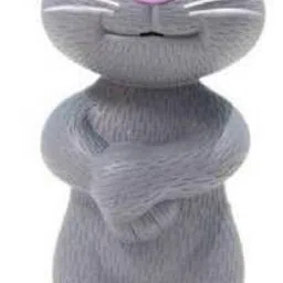 just97 Tom Cat Talking with Wonderful Voice Recording, Musical Toys_47-picture-0