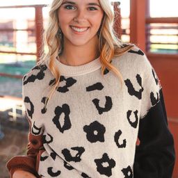 StyleCast Women Colourblocked Pullover-picture-28