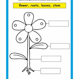 Actonn Re-Writable EVS Workbook - English image 5