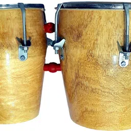 gt manufacturers Beautiful Natural Bongo Wooden Bongo-picture-0