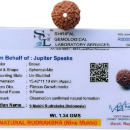 9 Mukhi Rudraksha With Lab Certificate, 100% Original Indonesia (Java) Origin Bead Size 14-18 mm Brown Color with Silk Dori Thread for Men and Women Wood Pendant-image-13