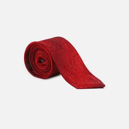 Louis Philippe Men Printed Broad Tie-picture-49