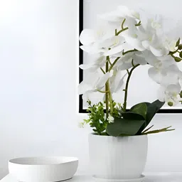 Royaloak White Three Pieces Butterfly Orchid Artificial Flower With Pot-48