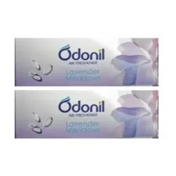 Odonil 100 g 2 Odor Air Freshner Blocks (Pack of 2)-25