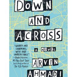 Down and Across A Novel Book By Arvin Ahmadi - English-image-23