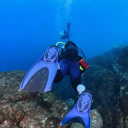 SUBEA By Decathlon Diving Fins Adjustable OH 500-image-9